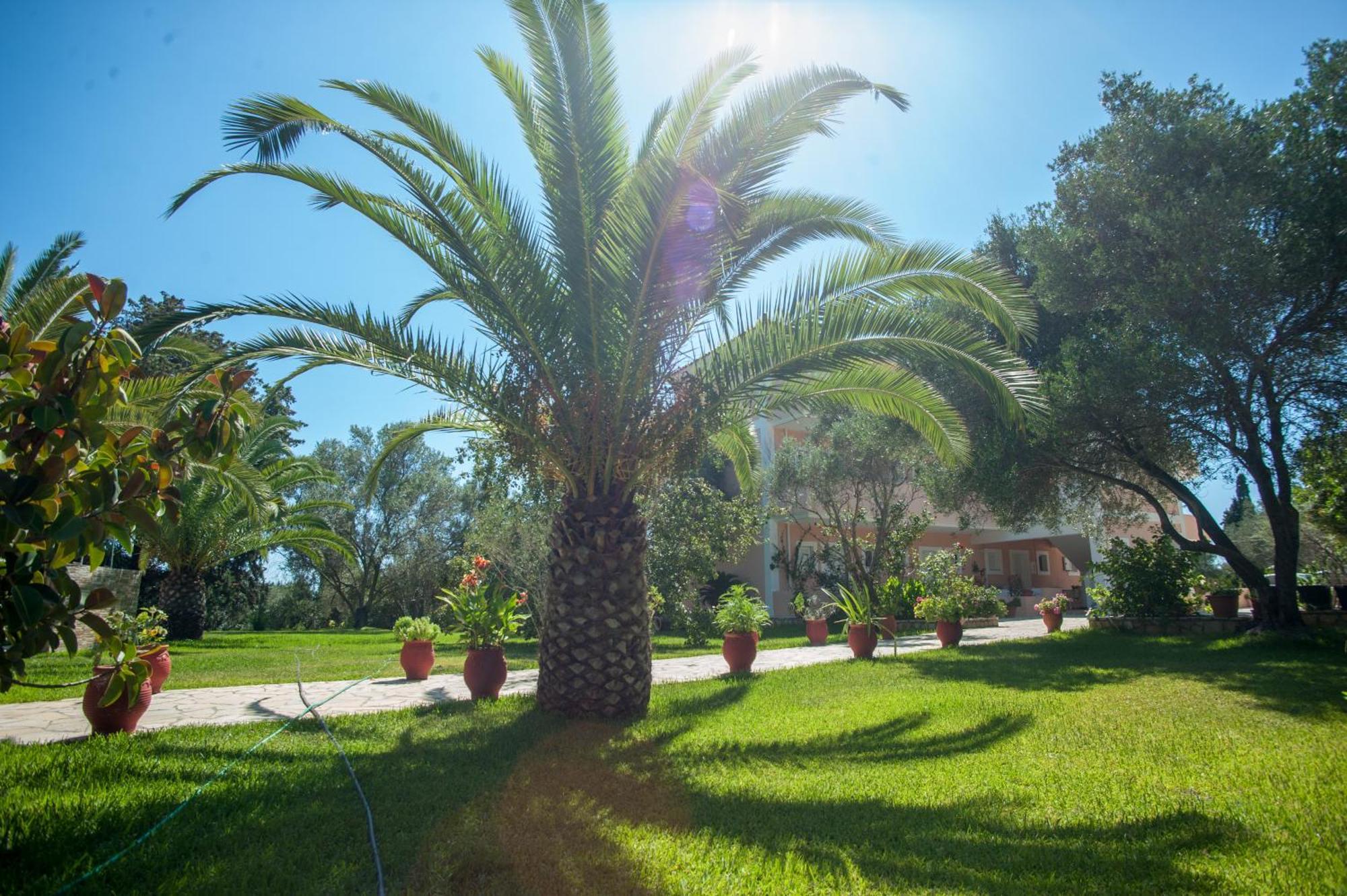 Helena Inn Kefalonia Island Ngoại thất bức ảnh